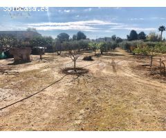 SE VENDE PARCELA EN ASPE