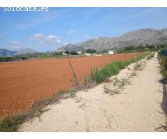 Gran finca a la venta
