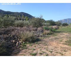Terreno rural en Venta en Alcalalí, Alicante
