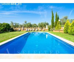 Villa con piscina en medio de un campo de olivos