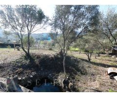 Oasis Rural en Mallorca: Terreno Rústico con Encantadora Casita en Pollença, al