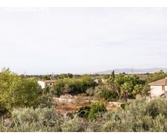 Finca rural en la zona de Sa cabaneta, Mallorca