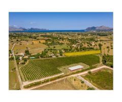 Impresionante Finca con viña