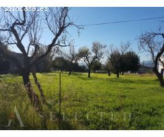 Parcela urbana con vistas en Campanet