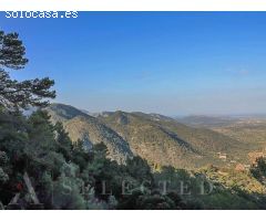 Finca rústica con agradables vistas en Mancor de la Vall.