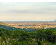 Inversión Excepcional en Campanet, Mallorca: Parcela Única con Vistas al Mar y