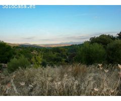 Inversión Excepcional en Campanet, Mallorca: Parcela Única con Vistas al Mar y