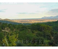 Inversión Excepcional en Campanet, Mallorca: Parcela Única con Vistas al Mar y