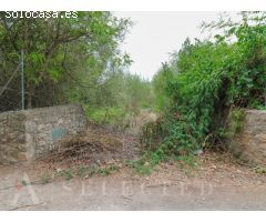 Solar a la venta en Pollença.