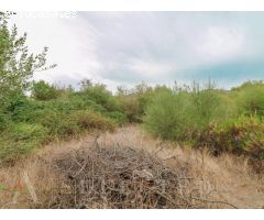 Solar a la venta en Pollença.