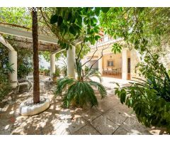 Encantadora Residencia con Patio en Puerto de Alcudia, Mallorca