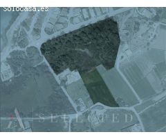 Terreno en Venta en Es Barcarès, Alcudia, Mallorca: ¡Construye Tu Hogar de