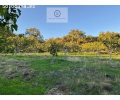 Magnifica finca en la zona de chilla