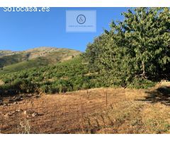 Finca en sierra de Gredos