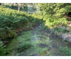 Finca en sierra de Gredos