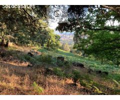 Finca en sierra de Gredos