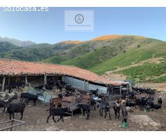 Finca en sierra de Gredos