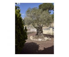 Oasis de confort con licencia turística en Los Pinares
