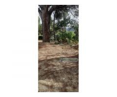 PELAYOS DE LA PRESA - SAN MARTIN VALDEIGLESIAS URBANIZACION JAVACRUZ PARCELA