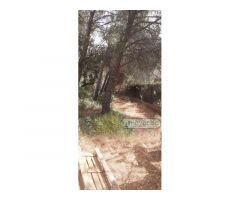 PELAYOS DE LA PRESA - SAN MARTIN VALDEIGLESIAS URBANIZACION JAVACRUZ PARCELA