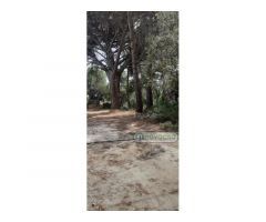 PELAYOS DE LA PRESA - SAN MARTIN VALDEIGLESIAS URBANIZACION JAVACRUZ PARCELA