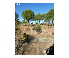 Terreno en VALDESANMARTIN, EL TIEMBLO, preciosa Zona Junto al Pantano de San
