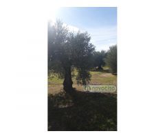 CADALSO DE LOS VIDRIOS , PRECIOSA FINCA RÚSTICA TOTALMENTE VALLADA