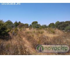 SE VENDE FINCA DE TERRENO DE 27.000 METROS RÚSTICA EN LA POBLACIÓN DE ALMOROX
