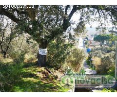 ALMOROX Se Vende PARCELA Urbana de 945 metros en la Urbanización Valcarillo