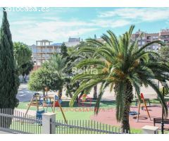 Se vende local en Albatera