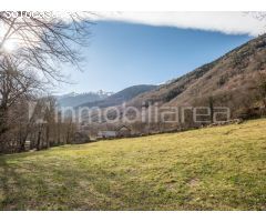 TERRENO RUSTICO CON BORDA ANTIGUA