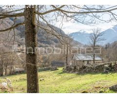 TERRENO RUSTICO CON BORDA ANTIGUA