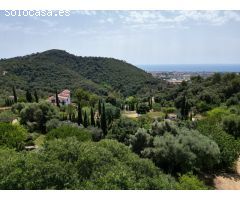 Finca rústica del s XV con vista a mar. Oportunidad de inversión.