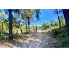 TERRENO VENTA ZONA ALCOY
