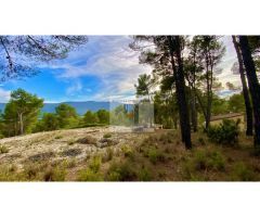 CASITA DE CAMPO EN VENTA