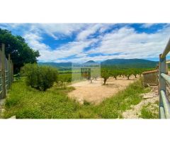 MASIA VENTA OTRAS ZONAS