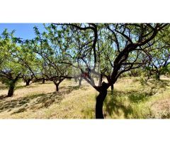 CHALET VENTA ZONA MURO