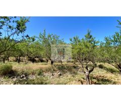 CHALET VENTA ZONA MURO