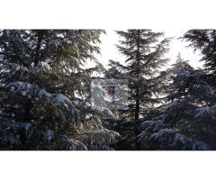 CHALET VENTA ZONA MURO DE ALCOY