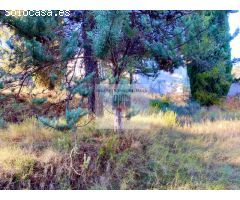 TERRENO VENTA ZONA COCENTAINA