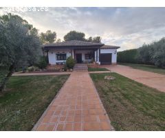 Módulo de 75m2 con posibilidad de Loft en el centro Zorroza