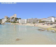 Mallorca Next Properties - Edificio junto al mar
