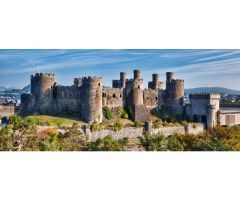 Mallorca Next Properties - Venta de Castillo en Costa Dorada