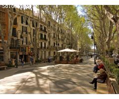 Mallorca Next Properties - Edificio señorial en Palma con oficinas exclusivas y