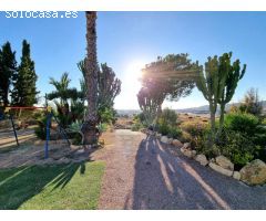 Venta de parcelas Urbanizables en Coveta Fumá - Campello.
