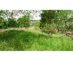 Finca Urbana en venta.