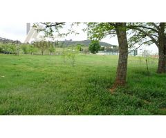 Finca Urbana en venta.