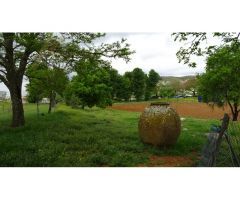 Finca Urbana en venta.