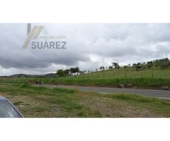 Finca Urbana en venta.