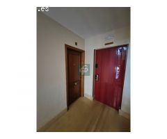FINCA DE 40.000m2 EN SAN VICENTE CON 2 CASAS TIPICAS EN INMEJORABLE ESTADO
